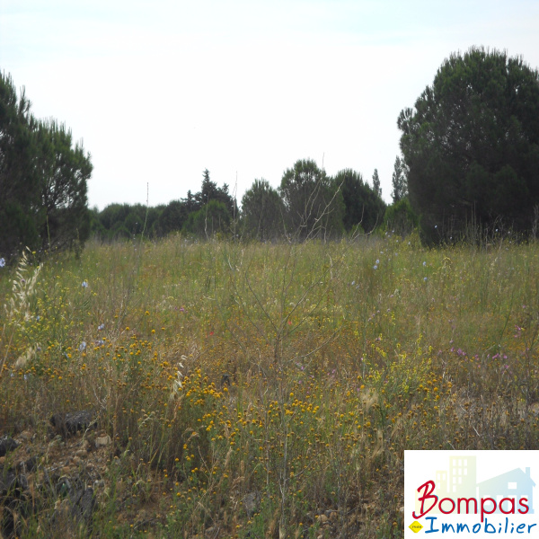 Offres de vente Terrain Villelongue-de-la-Salanque 66410